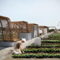 Urban Farming Initiatives in St. Louis, Missouri: A Comprehensive Guide