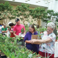 Explore Fun Community Events in St. Louis, Missouri